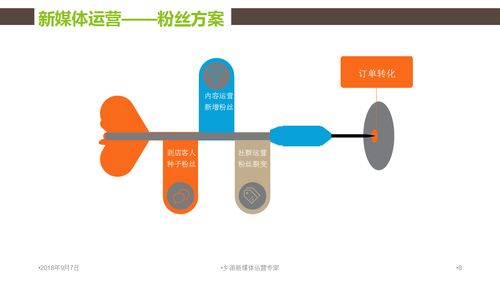 乡村旅游行业新媒体电商运营方案